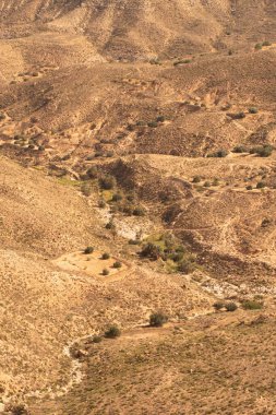 Güney Tunisia, djebel dahar