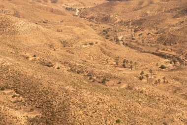 Güney Tunisia, djebel dahar