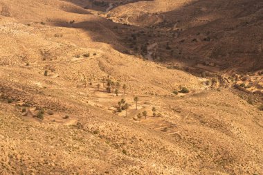 Güney Tunisia, djebel dahar
