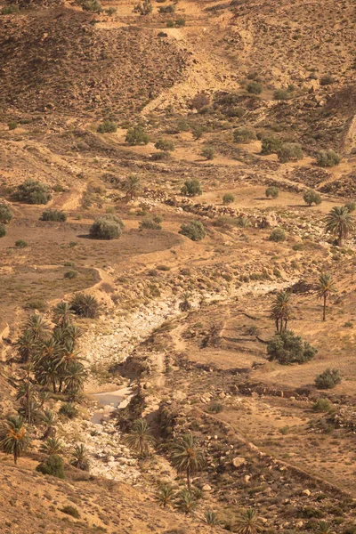 Södra Tunisien Dahar — Stockfoto