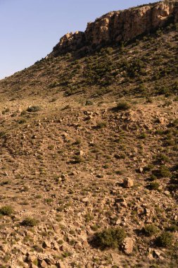 Güney Tunisia, dahar