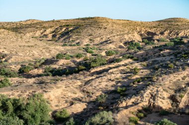 Güney Tunisia, dahar