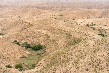 Güney Tunisia, dahar