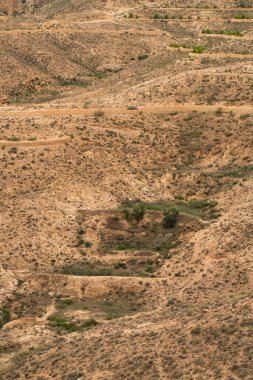 Güney Tunisia, dahar