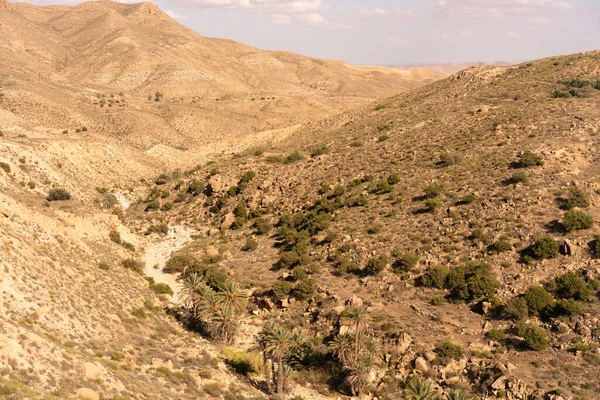 Güney Tunisia, dahar