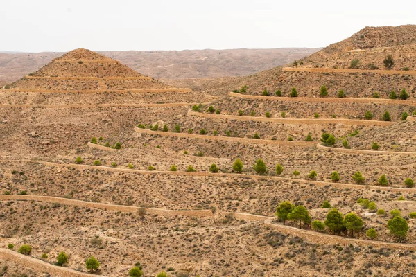 Güney Tunisia Dahar — Stok fotoğraf