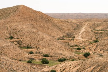 Güney Tunisia, dahar