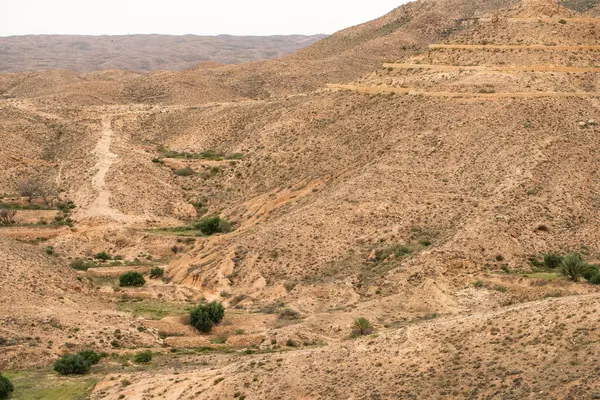 Güney Tunisia Dahar — Stok fotoğraf