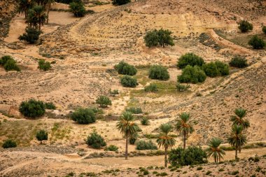 Güney Tunisia, dahar, 