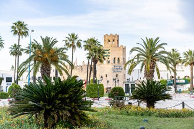 El Kantaoui Limanı, Sahel, Tunus ve Tunus kedisi.