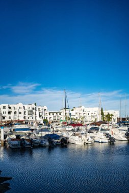 El Kantaoui Limanı, Sahel, Tunus ve Tunus kedisi.