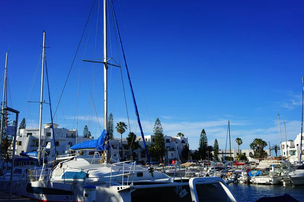 Port Kantaoui Sahel Tunezja Kot Tunezyjski — Zdjęcie stockowe