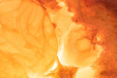 Portakal, limon ve meyve. 