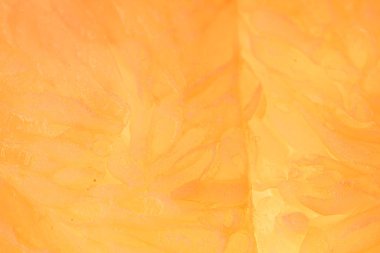 Portakal, limon ve meyve. 