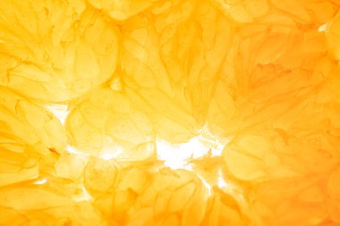 Portakal, limon ve meyve. 