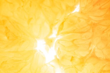 Portakal, limon ve meyve. 