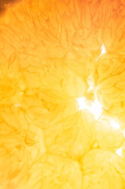 Portakal, limon ve meyve. 