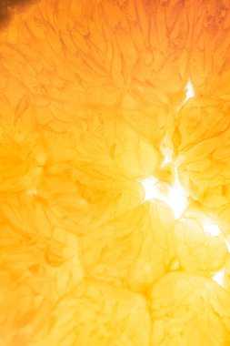 Portakal, limon ve meyve. 