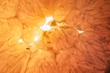 Portakal, limon ve meyve. 