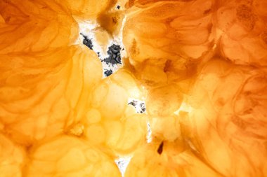 Portakal, limon ve meyve. 