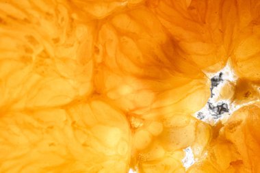 Portakal, limon ve meyve. 