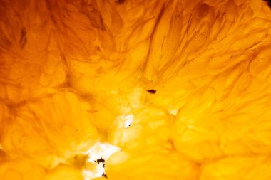 Portakal, limon ve meyve. 