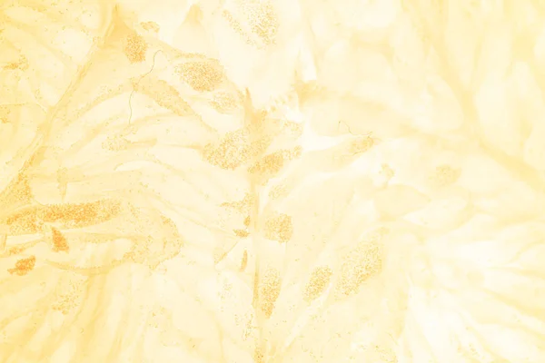 Turuncu ve turuncu, detaylar ve meyveler 