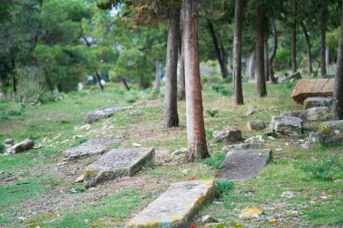 Tunus 'a hoş geldiniz, Kuzeybatı Tunus' un El Kef şehrine..