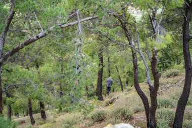 Tunus 'a hoş geldiniz, Kuzeybatı Tunus' un El Kef şehrine..