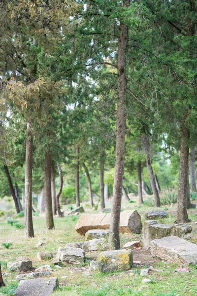 Willkommen Tunis Kef Stadt Nordwesten Tunesiens Charmantes Städtchen Mit Turbulenter — Stockfoto