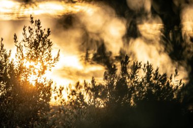 Oeslatia 'ya hoş geldiniz. Djebel ousselat ve djebel serj arasında bir düzlük merkezi