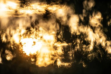 Oeslatia 'ya hoş geldiniz. Djebel ousselat ve djebel serj arasında bir düzlük merkezi