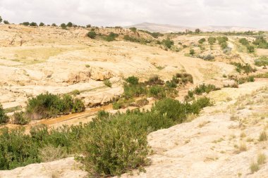 Oeslatia 'ya hoş geldiniz. Djebel ousselat ve djebel serj arasında bir düzlük merkezi