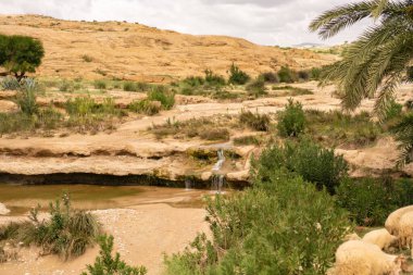 Oeslatia 'ya hoş geldiniz. Djebel ousselat ve djebel serj arasında bir düzlük merkezi