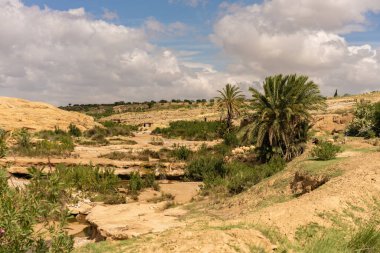 Oeslatia 'ya hoş geldiniz. Djebel ousselat ve djebel serj arasında bir düzlük merkezi