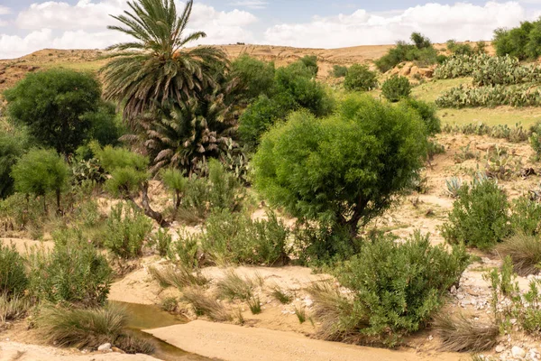 Oeslatia 'ya hoş geldiniz. Djebel ousselat ve djebel serj arasında bir düzlük merkezi