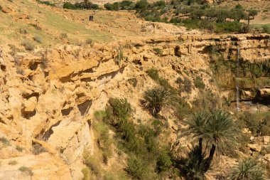 Oeslatia 'ya hoş geldiniz. Djebel ousselat ve djebel serj arasında bir düzlük merkezi