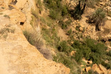 Oeslatia 'ya hoş geldiniz. Djebel ousselat ve djebel serj arasında bir düzlük merkezi