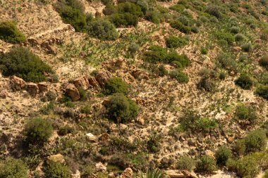 Oeslatia 'ya hoş geldiniz. Djebel ousselat ve djebel serj arasında bir düzlük merkezi