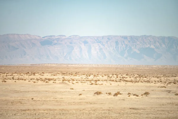 Vista Sulla Tunisia Meridionale Chott Jerid — Foto Stock