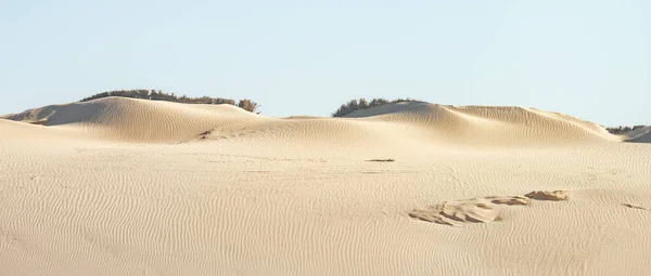 Alguma Vista Tunisia Sul Chott Jerid — Fotografia de Stock