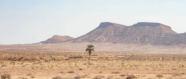 Some View South Tunisia Chott Jerid — стоковое фото