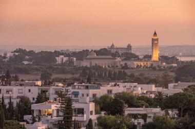 Tunus Tunus 'un bazı farklı görünümleri