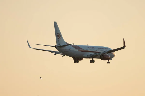 Viss Utsikt Över Södra Tunisien Chott Jerid — Stockfoto