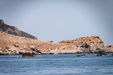 Farklı zembra manzarası, kırılgan bir ekosistem ile Tunus adası