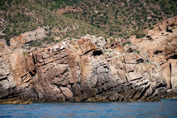 Vue Différente Zembra Île Tunisienne Écosystème Fragile — Photo