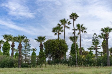 Port El Kantaoui, Sousse, Tunus yakınlarındaki marina turizm sitesi.