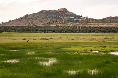 Takrouna, Tunisia 'nın Sahel bölgesinde küçük bir köy, bir tepede..