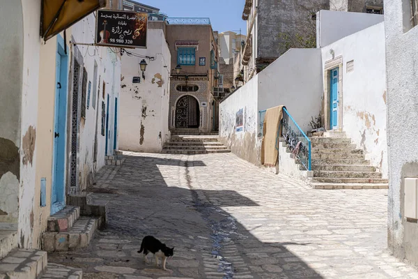Sousse, Medina, Tunus 'un manzarası