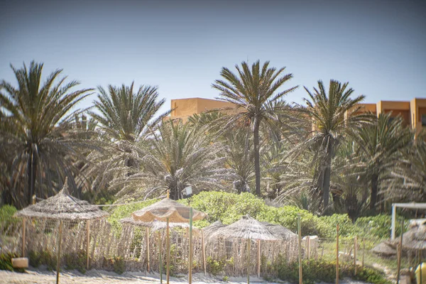 Some View Sousse Beach Street Tunisia — Stock Photo, Image